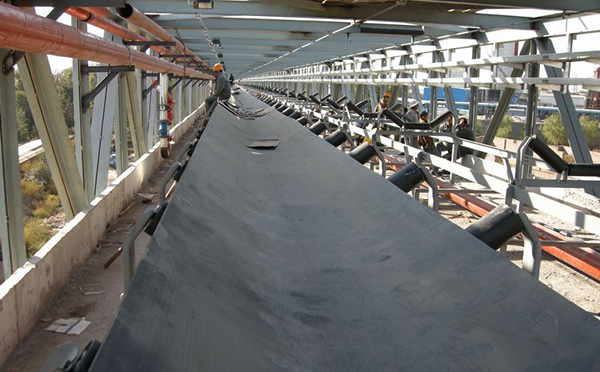 Oil resistant Conveyor Belt