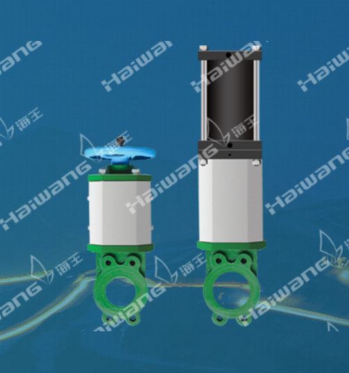 W Series Valve 
