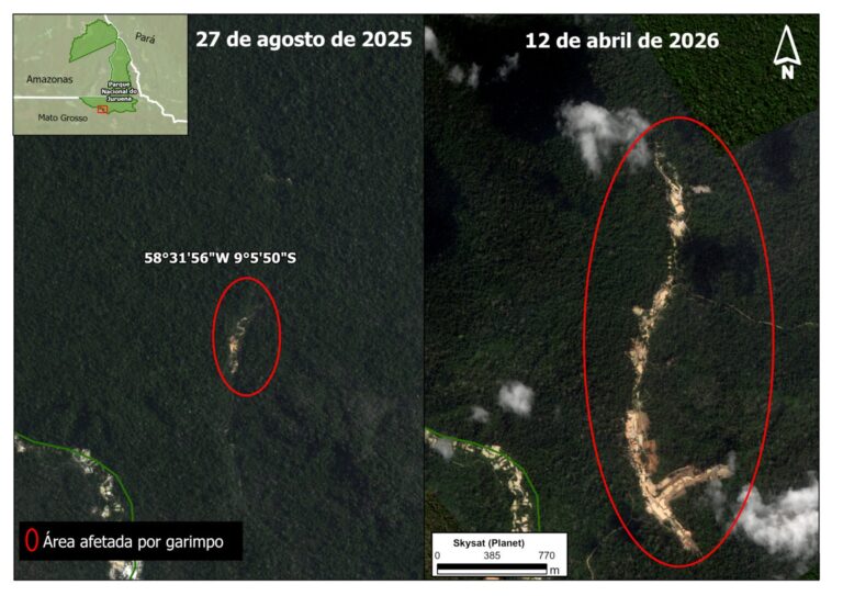 Illegal gold mining deforestation increases by up to 660% inside protected areas in Brazil&rsquo;s Juruena River Basin