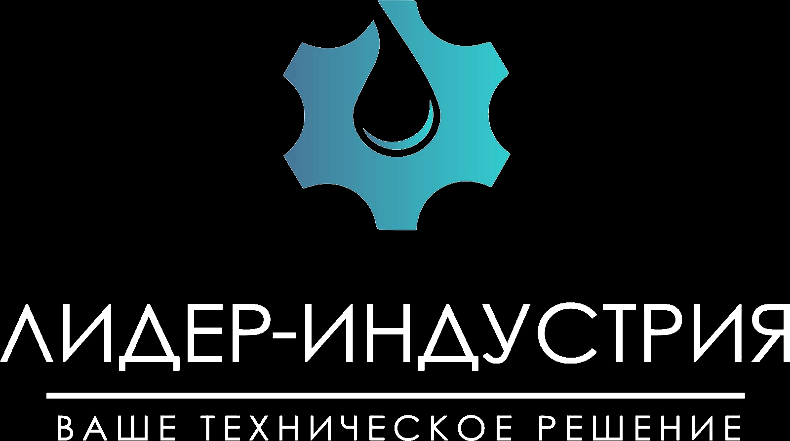 LIDER-INDUSTRYA LLC (ЛИДЕР-ИНДУСТРИЯ)