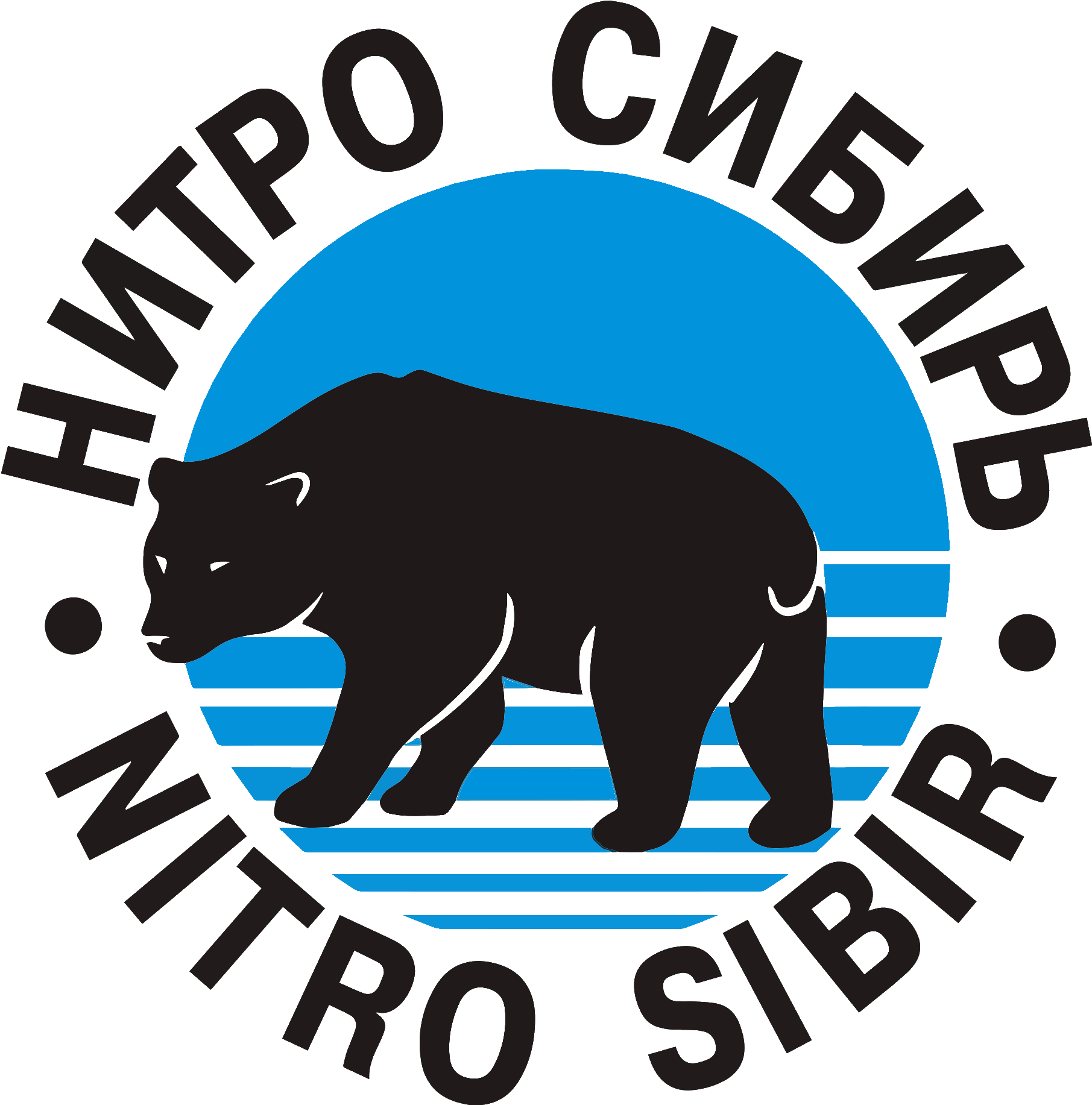 NITRO SIBER GROUP OF COMPANIES (НИТРО СИБИРЬ)