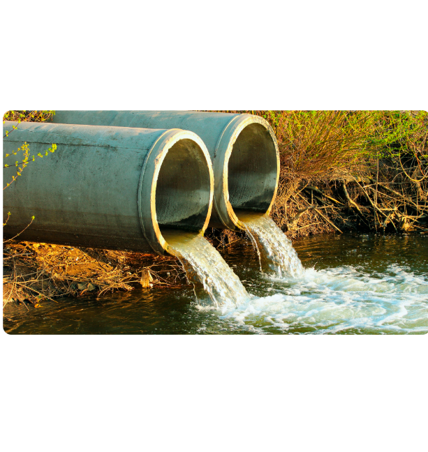 Flocculants for wastewater treatment